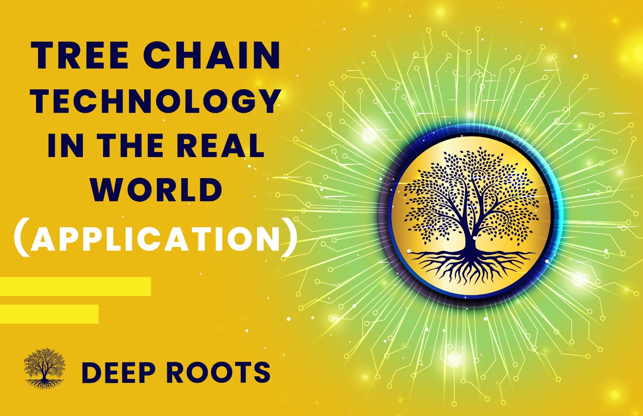 DEEP ROOTS TREE CHAIN APPLICATION IN THE REAL WORLD